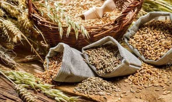 wheat - مصر تُخطر الأمين العام للأمم المتحدة بانسحابها من اتفاقية تجارة الحبوب الأممية