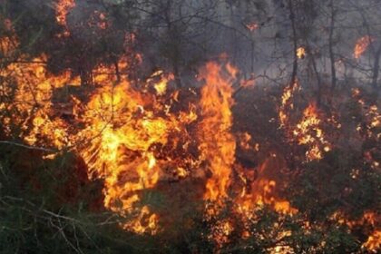 tunis 0 420x280 - حريق بغابة ملولة في جندوبة/ الحماية المدنية تؤكد صعوبة الوصول الى مكان الحريق